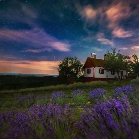 Lavanda Carasova Crasova Buitenkant foto