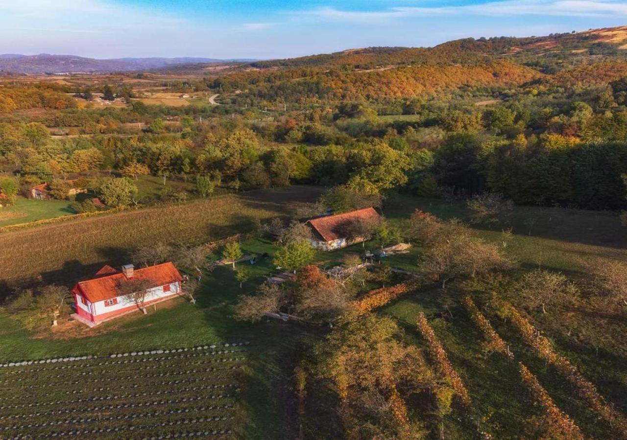 Lavanda Carasova Crasova Buitenkant foto