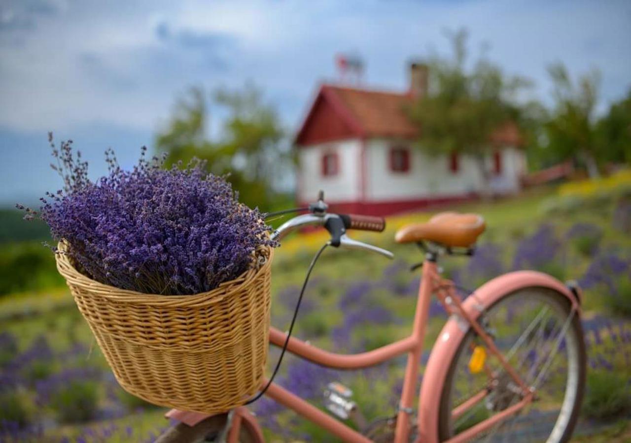 Lavanda Carasova Crasova Buitenkant foto