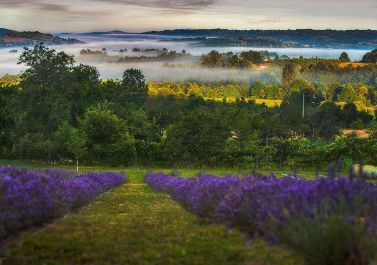 Lavanda Carasova Crasova Buitenkant foto